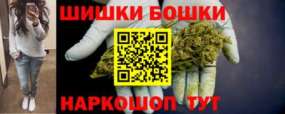 крисы Будённовск