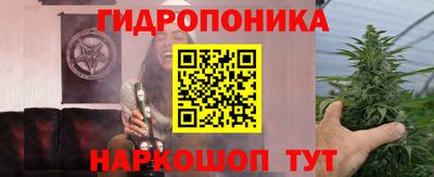 крисы Будённовск
