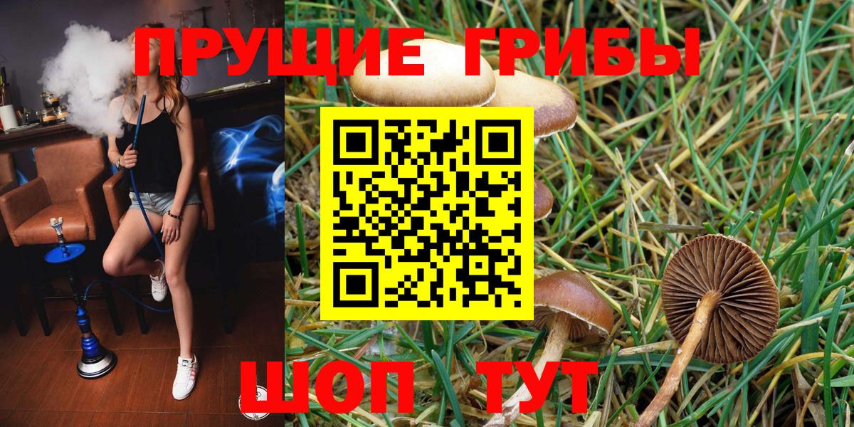 Галлюциногенные грибы ЛСД  Псилоцибиновые грибы ЛСД  Вход с VPN  Удомля 